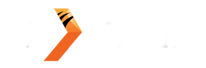 nextspin logo provider for online casino sg